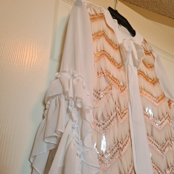 Imported Turkish Party21 Silk Ruffle Knee Length Dress w/Multi Shimmer Sequin 6 - Picture 12 of 17